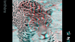 Anaglyph