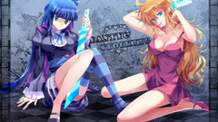 Anarchy stocking striped legwear