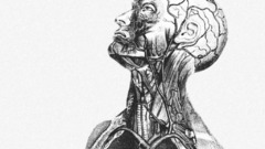 Anat here My version