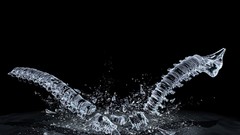 Anatomy artwork digital art