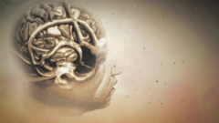 Anatomy brain House M.D.