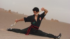 Ancient martial arts iran parthowa partoa iranian martial art 