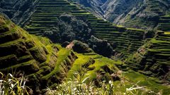 Ancient Phillipines rice terrace