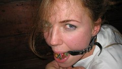 Ancilla tilia ball gag