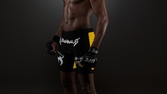 Anderson Silva video ufc