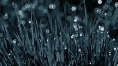 Android high 155 Resolution