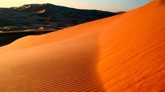 Android motorola deserts