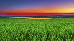 Android motorola Razr-i