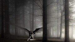 angel dark wings fantasy art Trees Women mist fantasy girl