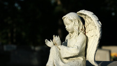 Angel high Resolution