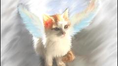 Angel Kitty painting Animals