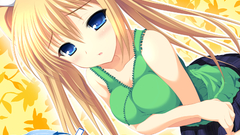 Angel navigate Anime