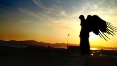 Angel photos com high flickr Resolution freeflyer