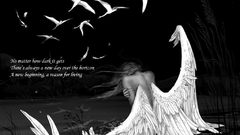 Angels Birds artwork drawings