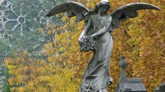 Angels statues