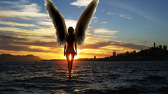 Angels sun fly San