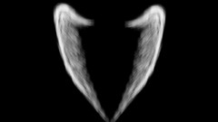 Angels wings