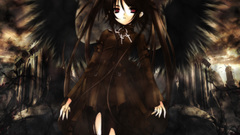 Angels wings black red