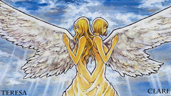 Angels wings claymore