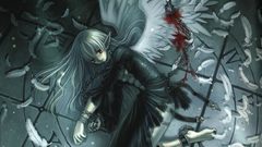 Angels wings dark white