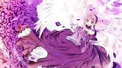 Angels wings pink blue