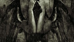 Angels wings rain monochrome