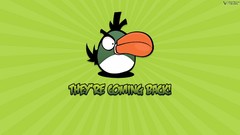 Angry birds Simple Background