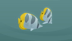 Animal Art abstract fish