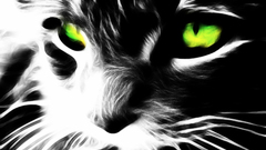 Animal cats Fractalius