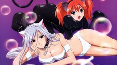 Animal ears akashiya moka