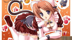 Animal ears anime girls