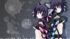 Animal ears anime girls