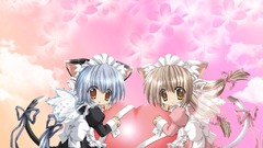 Animal ears Anime girls