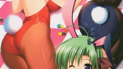 Animal ears bunny ears