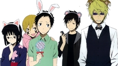 Animal ears durarara heiwajima