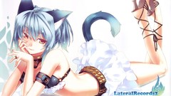 Animal ears Hirano Katsuyuki