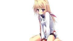 Animal ears infinite stratos