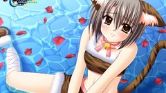 Animal ears judgement chime