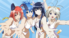 Animal ears kampfer Sangou