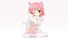 Animal ears nekomimi