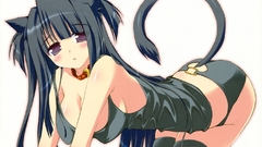 Animal ears Simple Background