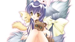 Animal ears Simple Background