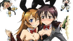 Animal ears strike witches erica hartmann gertrud barkhorn 