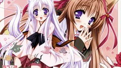 Animal ears tayutama purple eyes