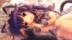 Animal ears tsukuyomi moon