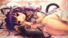 Animal ears tsukuyomi moon