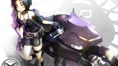 Animal ears vehicles motorbikes