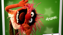 Animal funny surprised muppets disagree