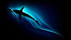 Animals abstract fish Sharks digital art