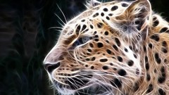 Animals abstract Fractalius
